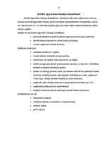 Referāts 'Hansabankas izsniedzamo kredītu veidi', 14.