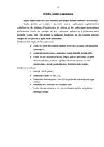 Referāts 'Hansabankas izsniedzamo kredītu veidi', 15.