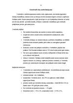 Referāts 'Hansabankas izsniedzamo kredītu veidi', 18.