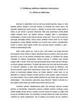 Referāts 'Televīzijas raidījumu veidošanas process un iespējas', 12.