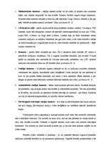 Referāts 'Televīzijas raidījumu veidošanas process un iespējas', 16.