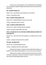 Referāts 'Televīzijas raidījumu veidošanas process un iespējas', 30.