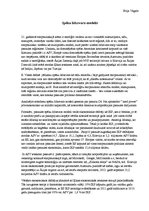 Eseja '21.gadsimta spēku līdzsvara modelis', 1.