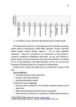 Referāts 'Uzņēmuma efektīvas darbības problēmas', 29.