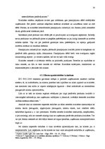 Referāts 'Uzņēmuma efektīvas darbības problēmas', 30.