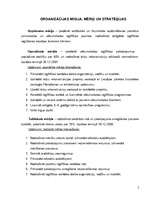 Referāts 'Organizācijas darbības pilnveide', 5.