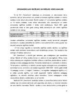 Referāts 'Organizācijas darbības pilnveide', 10.