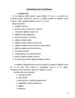 Referāts 'Organizācijas darbības pilnveide', 12.