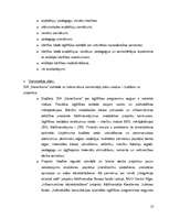 Referāts 'Organizācijas darbības pilnveide', 13.