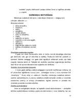 Referāts 'Organizācijas darbības pilnveide', 14.