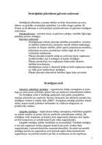 Referāts 'Stratēģiskā plānošana', 5.