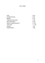 Referāts 'Muzikālā un kultūras dzīve 17., 18.gadsimtā Latvijas teritorijā', 2.