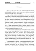 Referāts 'Salīdzinošās tiesības. ASV tiesību sistēma', 6.