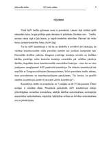 Referāts 'Salīdzinošās tiesības. ASV tiesību sistēma', 8.