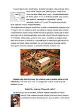 Referāts '2006.gada ziemas olimpiskās spēles un 2005.gada sporta cilvēki, konkursa laureāt', 2.