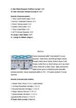 Referāts '2006.gada ziemas olimpiskās spēles un 2005.gada sporta cilvēki, konkursa laureāt', 12.