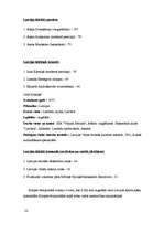 Referāts '2006.gada ziemas olimpiskās spēles un 2005.gada sporta cilvēki, konkursa laureāt', 20.