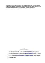 Referāts '2006.gada ziemas olimpiskās spēles un 2005.gada sporta cilvēki, konkursa laureāt', 24.