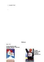 Referāts '2006.gada ziemas olimpiskās spēles un 2005.gada sporta cilvēki, konkursa laureāt', 25.