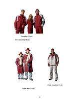 Referāts '2006.gada ziemas olimpiskās spēles un 2005.gada sporta cilvēki, konkursa laureāt', 33.