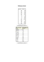 Paraugs 'Holla efekts', 8.