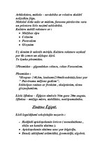 Konspekts 'Ēģipte', 5.