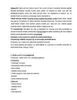 Konspekts 'Ievads tiesību zinātnē 1', 7.