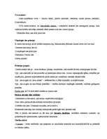 Konspekts 'Ievads tiesību zinātnē 1', 9.