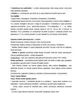 Konspekts 'Ievads tiesību zinātnē 1', 11.