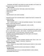 Konspekts 'Ievads tiesību zinātnē 1', 19.