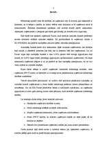 Referāts 'SIA "Furors" mārketinga darbības analīze', 3.