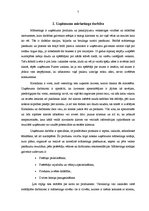 Referāts 'SIA "Furors" mārketinga darbības analīze', 7.