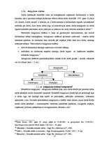 Diplomdarbs 'SIA "X" saimnieciskās darbības analīze un attīstības iespējas', 19.