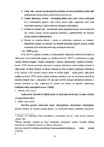 Diplomdarbs 'SIA "X" saimnieciskās darbības analīze un attīstības iespējas', 25.