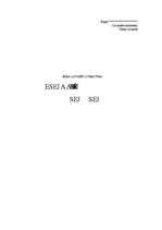 Eseja 'Manas pārdomas par Ojāra Vācieša liriskā varoņa garīgajām vērtībām', 1.