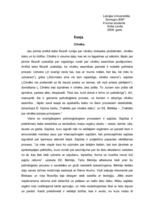 Eseja 'Cilvēks', 1.