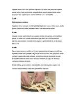 Konspekts 'Amerikāņu ābolu pīrāgs', 5.