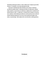 Referāts 'Mārketinga aktivitātes SIA "Čilija pica"', 29.