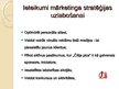 Referāts 'Mārketinga aktivitātes SIA "Čilija pica"', 50.