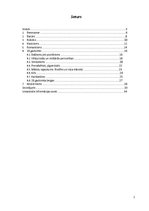 Referāts 'Cilvēka atveidojums tēlniecībā', 2.