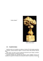 Referāts 'Cilvēka atveidojums tēlniecībā', 26.