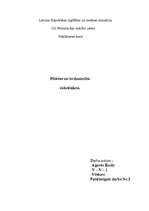 Referāts 'Pilsētas un tirdzniecība viduslaikos', 1.