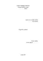 Prakses atskaite 'Tirgzinību prakse', 1.