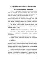 Prakses atskaite 'Tirgzinību prakse', 6.