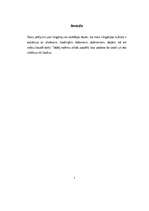 Referāts 'Ungārija', 3.