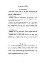 Referāts 'Ungārija', 7.