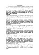 Konspekts 'ASV senās civilizācijas', 7.