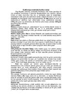 Konspekts 'ASV senās civilizācijas', 13.