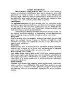 Konspekts 'ASV senās civilizācijas', 14.