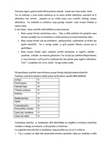 Konspekts 'Mediju attiecības', 2.